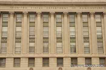USDA again sanctions powerful hog buyer for cheating sellers