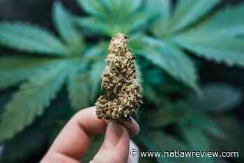 Alabama Allows Medical Use Cannabis and Dispensary Licenses - The National Law Review