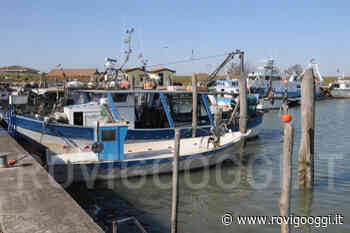 Ridurre l'indennità giornaliera per il fermo biologico significa dare un'altra mazzata al comparto ittico - RovigoOggi.it
