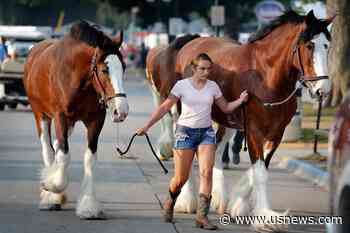 COVID-19 Rates a Worry as 1 Million Head for Iowa State Fair