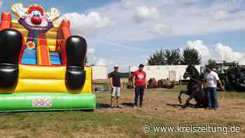 Zirkusfamilie eröffnet in Sulingen Hüpfburgpark zugunsten der Tiere - kreiszeitung.de