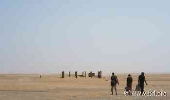 How Niger is fending off coronavirus - The World