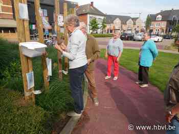Okra Paal steekt troostplekje in zomerkleedje (Beringen) - Het Belang van Limburg Mobile - Het Belang van Limburg