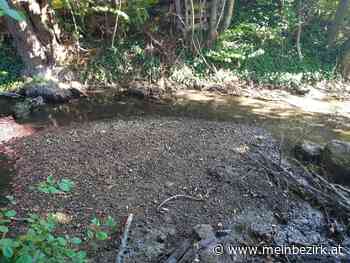 Umwelt & Klimawandel: "Trauriges Rinnsal statt einem Fluss" - meinbezirk.at