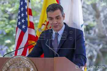 Pedro Sánchez: "Tengo una relación extraordinaria con López Obrador" - Agencia EFE