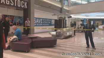 Family of boy thrown over Mall of America railing files lawsuit