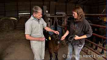 Rural county's only veterinarian offers to give away his practice, clinic & pickup to attract a new vet before he retires
