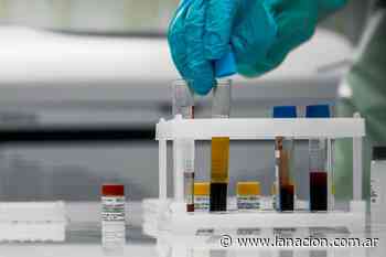 Coronavirus en Argentina: casos en Paso De Los Libres, Corrientes al 28 de julio - LA NACION