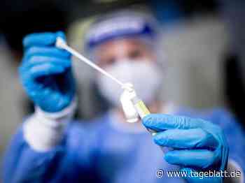 Corona-Inzidenz im Kreis Stade weiter auf niedrigem Niveau - Landkreis Stade - Stader Tageblatt - Tageblatt-online