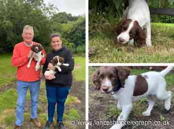 Meet adorable pups Nigel and Arti - Lancashire's newest canine police recruits