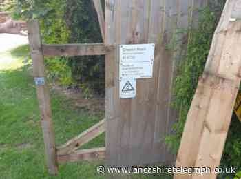 Man arrested after copper wiring stolen from electricity substation