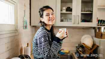 Neuer Trend beschäftigt Kurgemeinde: Bad Boll denkt über Tiny-Häuser nach - SWP