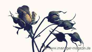 Warum Nachhaltigkeitsberichte allein nichts bringen