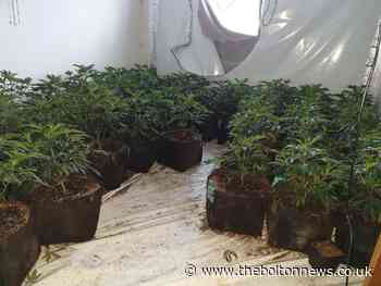 Cannabis farm discovered in Tonge Moor by police