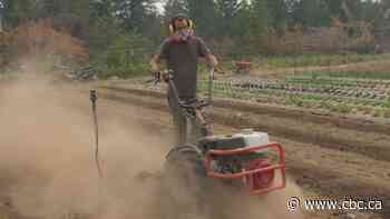 Extreme drought in southern B.C. taking devastating toll on life in water and on land
