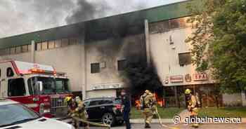 Businesses damaged, cats dead after south Calgary commercial building fire - Global News