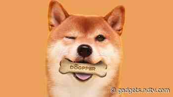 Burger King Starts Accepting Dogecoin in Brazil — but Only for Dog Treats