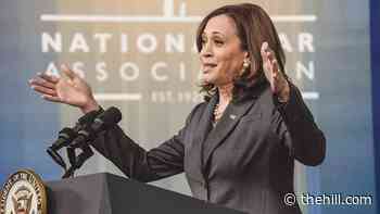 Harris's bad polls trigger Democratic worries