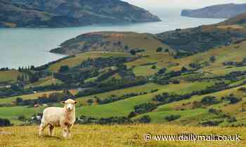 New Zealand is rated as the best place to survive a global collapse