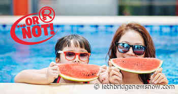 Swimming After You Eat? Yes, You Can. - Lethbridge News Now