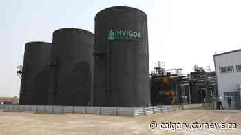 The Lethbridge, Alta. facility will be the first of its kind in Canada and should create roughly 130 jobs. - CTV Toronto