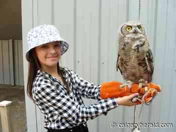 Lethbridge attractions offer otherworldly experiences close to home - Calgary Herald