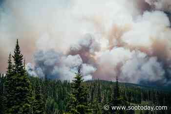Two new forest fires confirmed in the north - SooToday