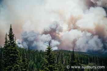 Two new forest fires confirmed in the north - Sudbury.com