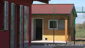 Si allungano i tempi per il nuovo gattile di Modena: bando deserto. VIDEO - modenaindiretta.it