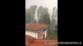 Maltempo Modena, il video dell'albero che travolge il furgone - il Resto del Carlino