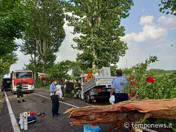 Maltempo, tre feriti a Novi di Modena - COOPERATIVA RADIO BRUNO srl