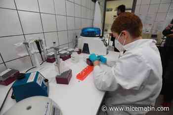 Suspicion de cas de maladie de Creutzfeldt-Jakob, les travaux en laboratoire sur les prions suspendus