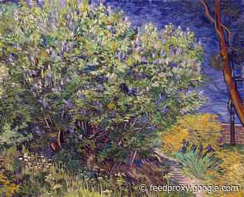 The Hermitage Hops On The NFT Train