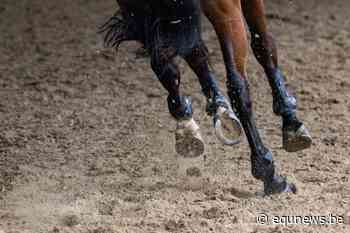 Thibo Deketelaere blijkt klasse te sterk in Grand Prix Aalter - equnews.be