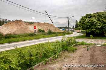 Geen extra maatregelen nodig voor landbouwproducten uit regio Zwijndrecht na PFOS-vervuiling