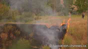 String of suspicious fires along Saskatoon's riverbank sparks police investigation - CTV News Saskatoon