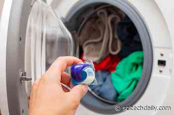 Are Laundry and Dish Pods Biodegradable? Not Exactly