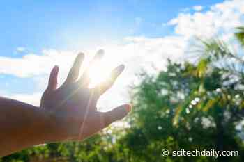 More Carbon Emissions Will Kill More People – Here’s How Many