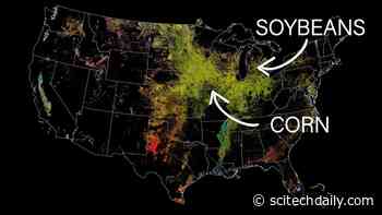 GLAM: Keeping Track of Food Production From Space