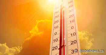 Heat warnings issued for Edmonton, parts of central and southeastern Alberta