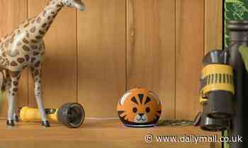 The Amazon Echo Dot Kids is now available to buy - and it can even help out with homework 