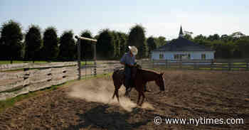 At The Ranch in Montauk, Plenty of Room for Art and Horses