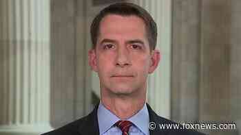 Tom Cotton vows to block Biden US attorney nominee Rachael Rollins, who has lengthy do-not-prosecute list