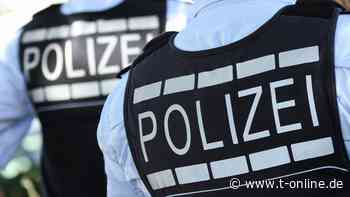 Kiel: Polizisten retten Entenfamilie aus Gleisen am Bahnhof - t-online