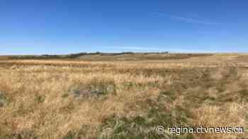 Majority of Sask. crops rated as poor to fair: Ministry of Agriculture