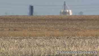 Sask. drought taking its toll on farmers' mental health, advocate says