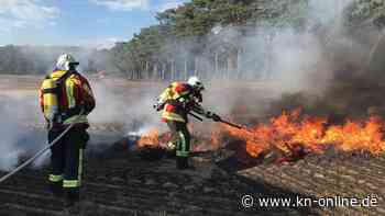 Feld und Wald brennen auf Usedom - starker Wind erschwert Löscharbeiten