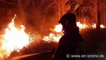 Italien in Flammen: Feuerwehr kämpft landesweit gegen 240 Waldbrände