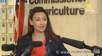 Agriculture Commissioner Nikki Fried suspends 22 licenses of individuals accused of participating in Jan 6 insurrection - WWSB
