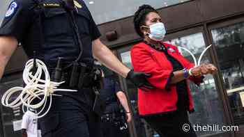 Jackson Lee is third CBC member in three weeks to be arrested protesting for voting rights